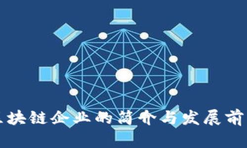 众安区块链企业的简介与发展前景分析