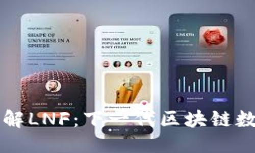 优质
深入了解LNF：下一代区块链数字货币
