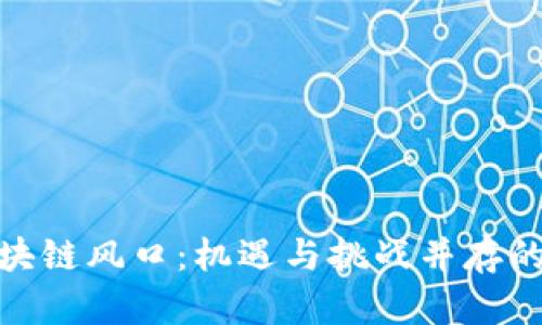 探索区块链风口：机遇与挑战并存的新时代