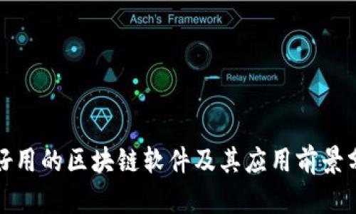 最好用的区块链软件及其应用前景分析