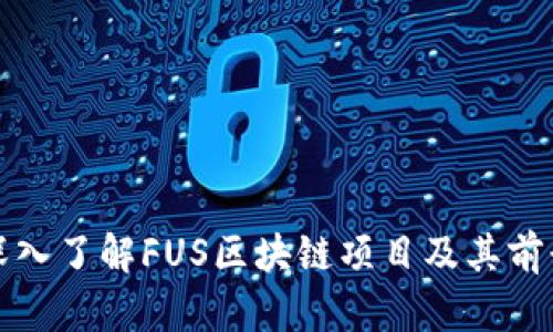深入了解FUS区块链项目及其前景