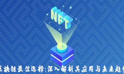 
区块链最佳选择：深入解析其应用与未来趋势