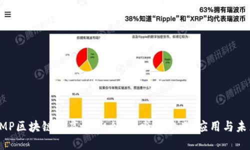 PMP区块链到底是什么？探索其定义、应用与未来