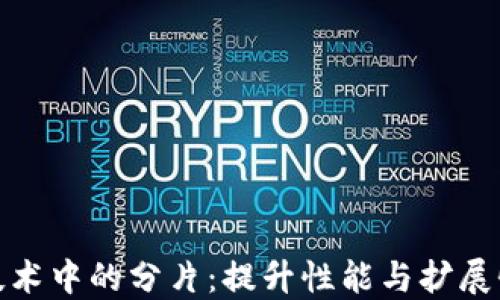 
区块链技术中的分片：提升性能与扩展性的关键