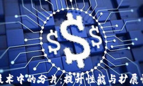 
区块链技术中的分片：提升性能与扩展性的关键