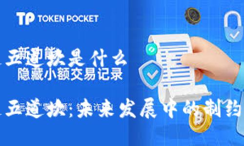 区块链五道坎是什么

区块链五道坎：未来发展中的制约与机遇